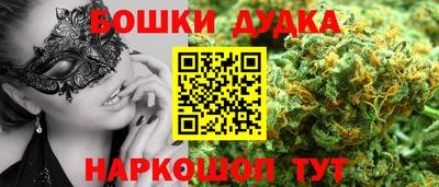 индика Комсомольск-на-Амуре