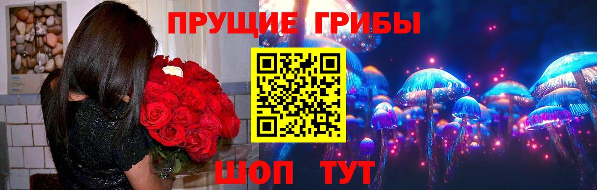 Псилоцибиновые грибы Psilocybine cubensis  Вход с VPN  Шебекино  Галлюциногенные грибы Psilocybe 