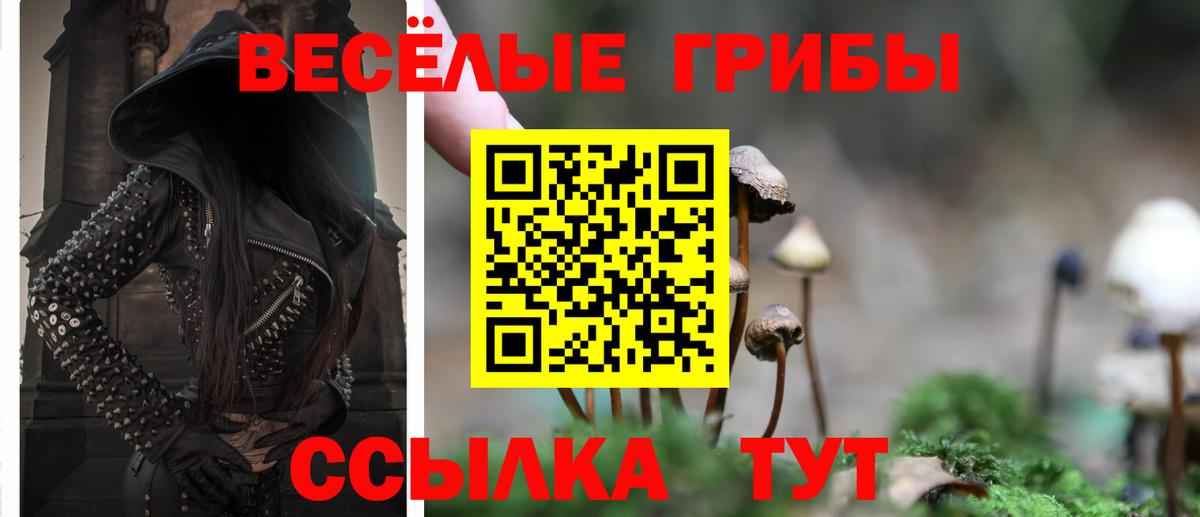 Галлюциногенные грибы прущие грибы Шебекино
